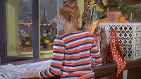 The Partridge Family